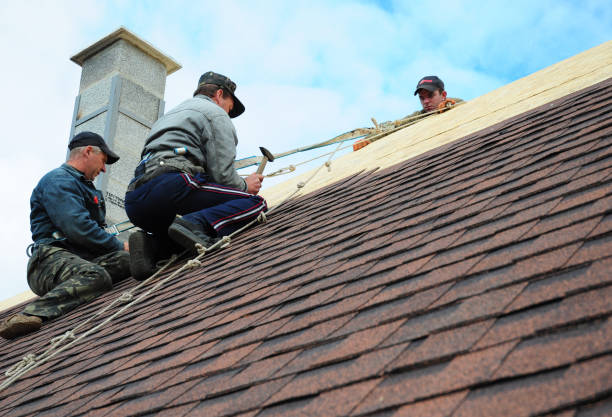 Best Emergency Roof Repair  in Mbria, CA